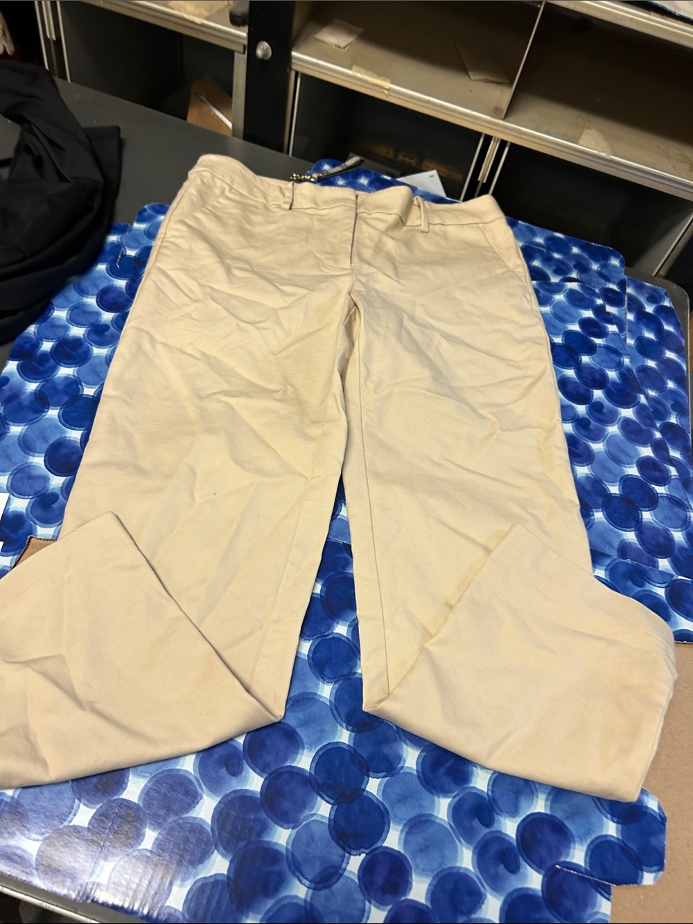 Women’s loft tapered dress pants in Beige